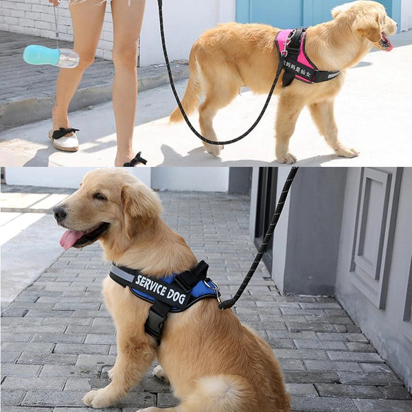 DOG LEASH