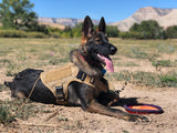 HEAVY-DUTY TACTICAL DOG VEST