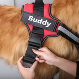 PERSONALISED NO PULL HARNESS