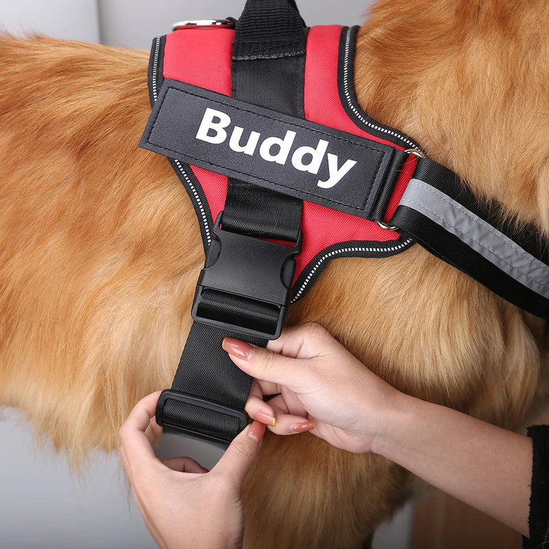 PERSONALISED NO PULL HARNESS