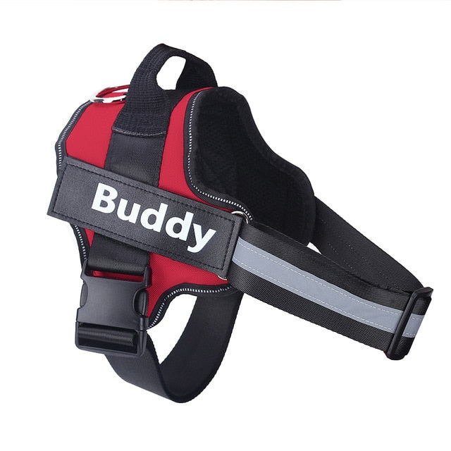 PERSONALISED NO PULL HARNESS