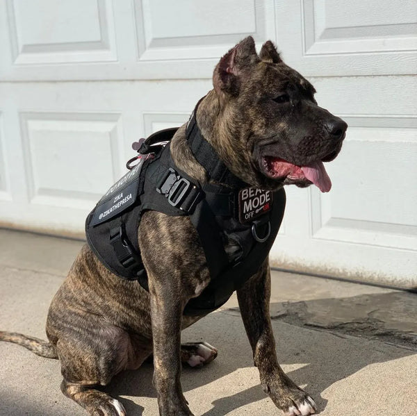 HEAVY-DUTY TACTICAL DOG VEST