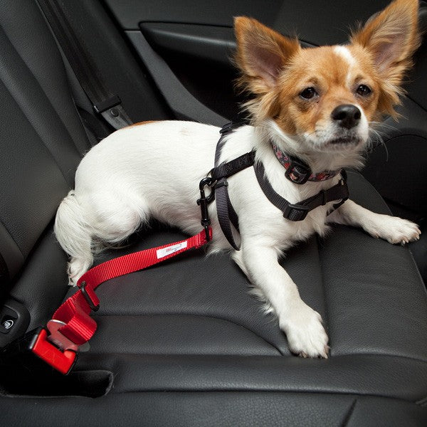 CAR SAFETY BELT FOR DOGS & CATS