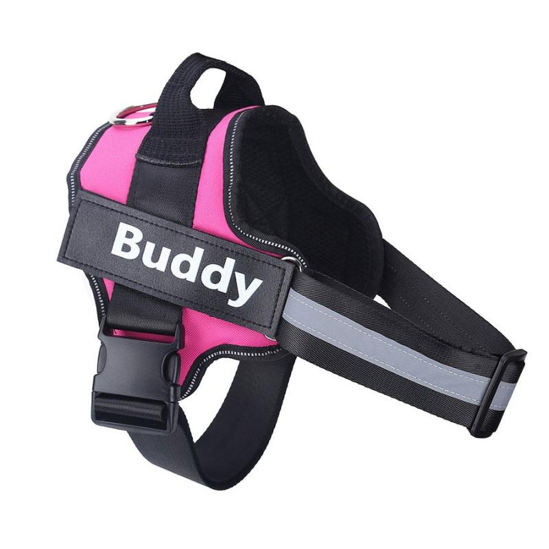 PERSONALISED NO PULL HARNESS