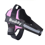 PERSONALISED NO PULL HARNESS